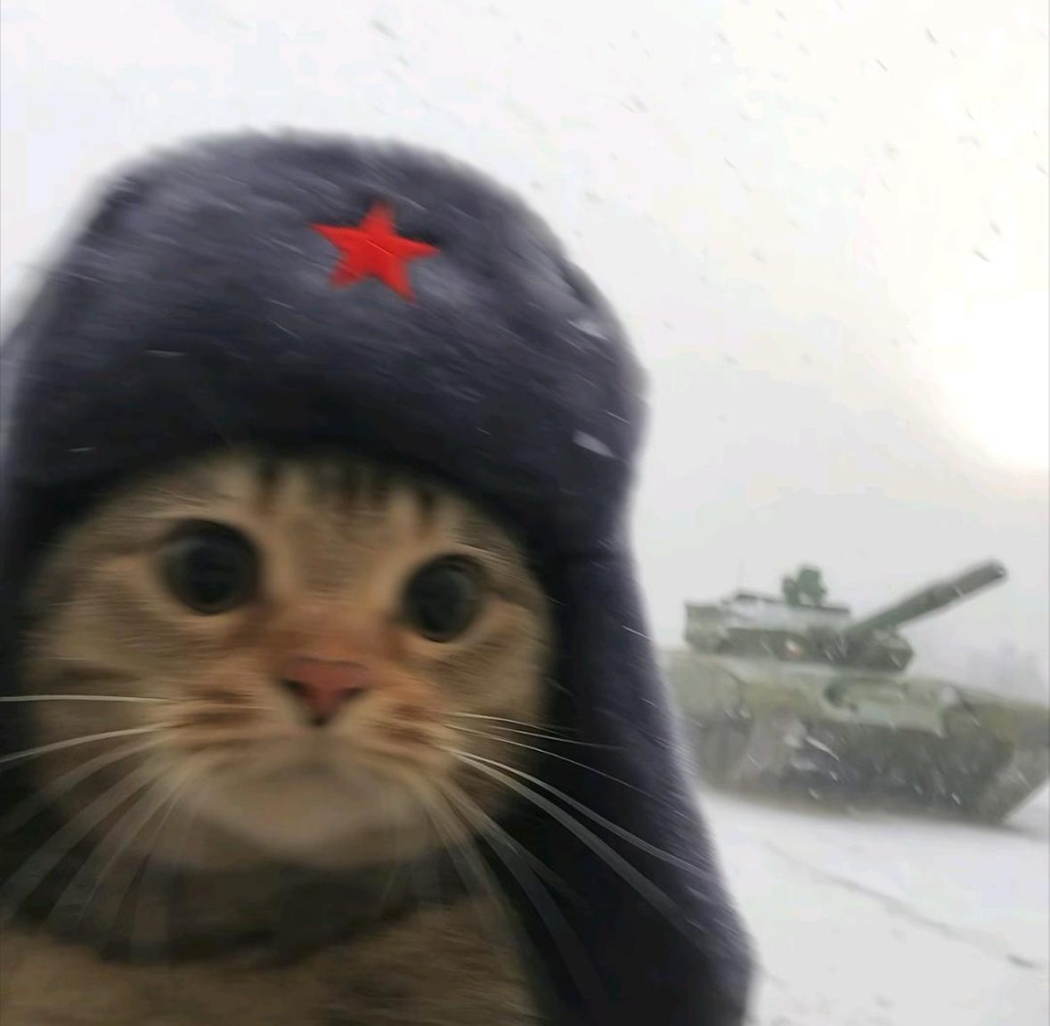 憨包包
